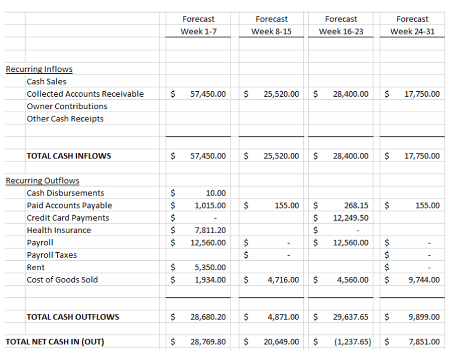 cash flow management: MSP cash flow forecast example