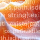 How to Check if a File Exists in Python